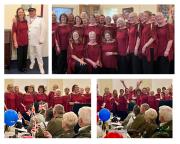 Yacht Club Concert